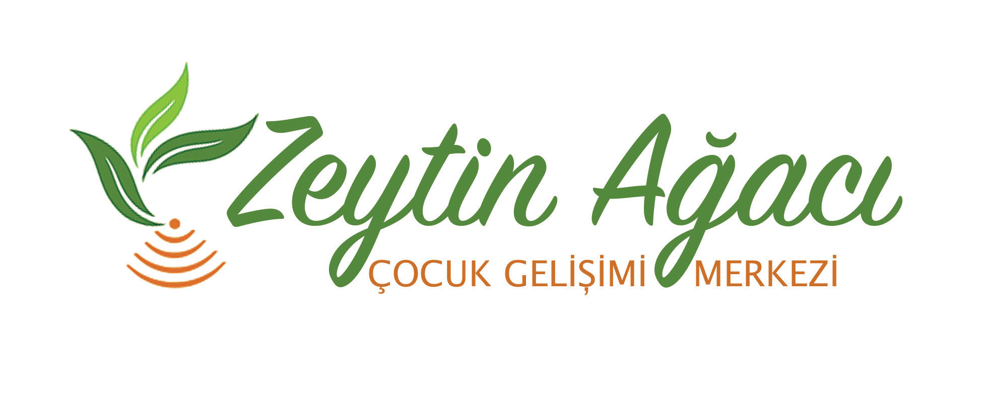 Zeytin Ağacı