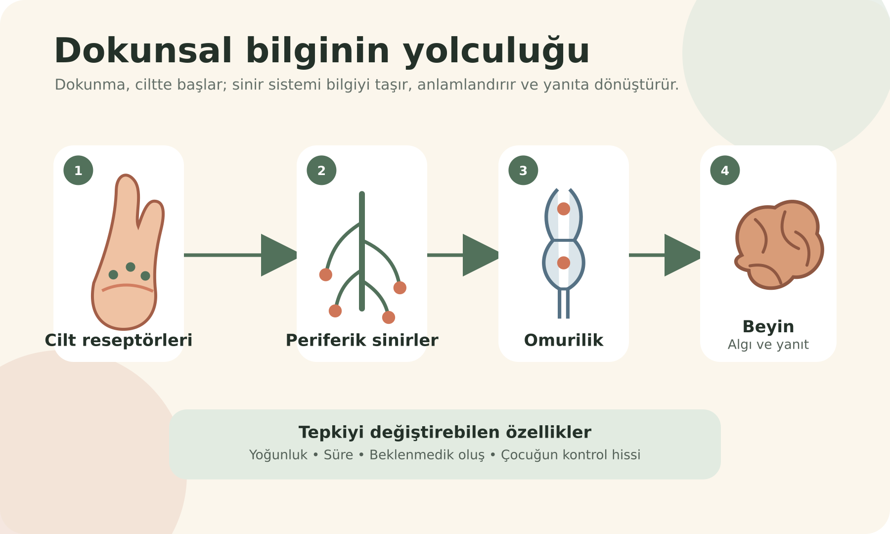 Çocuklarda Dokunsal Hassasiyet